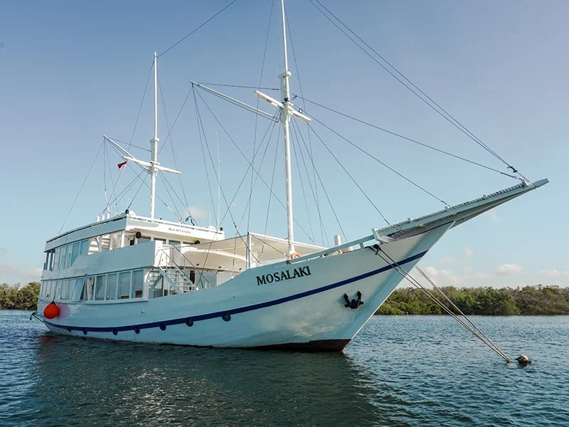 Mosalaki Phinisi - Luxury Phinisi Komodo Charter 2026